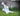 5 Element Mastery Course and Teacher Training Bali August 2025