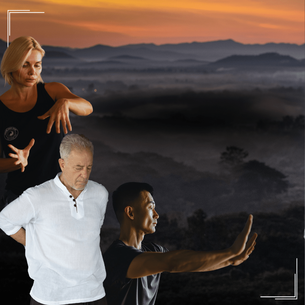 Body Balance Bundle Intermediate White Tiger Qigong