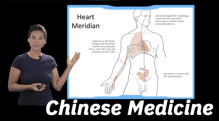 Chinese Medicine Fundamentals for Qigong Practitioners - White Tiger Qigong