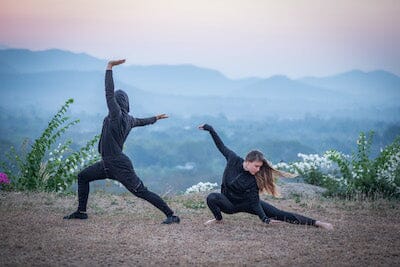 5 Element Qigong Mastery Course Advanced White Tiger Qigong