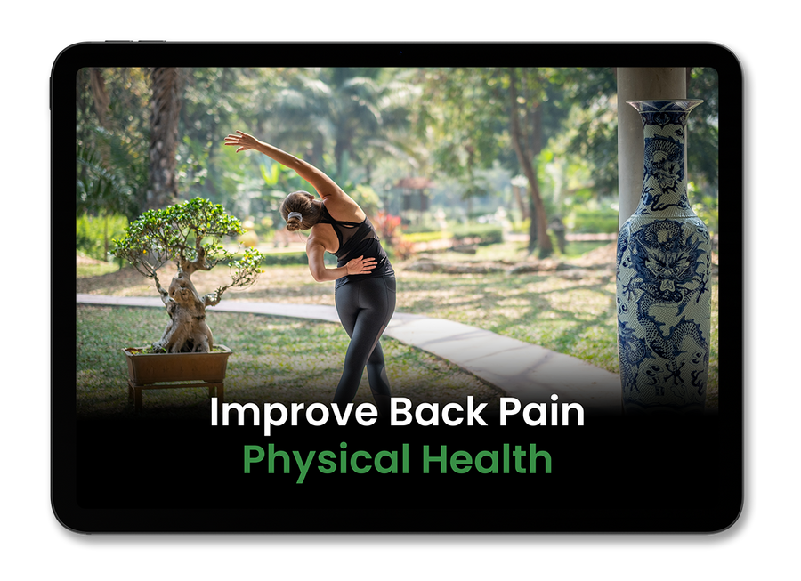 BONUS #5: Improve Back Pain & Physical Health (Value: $69)