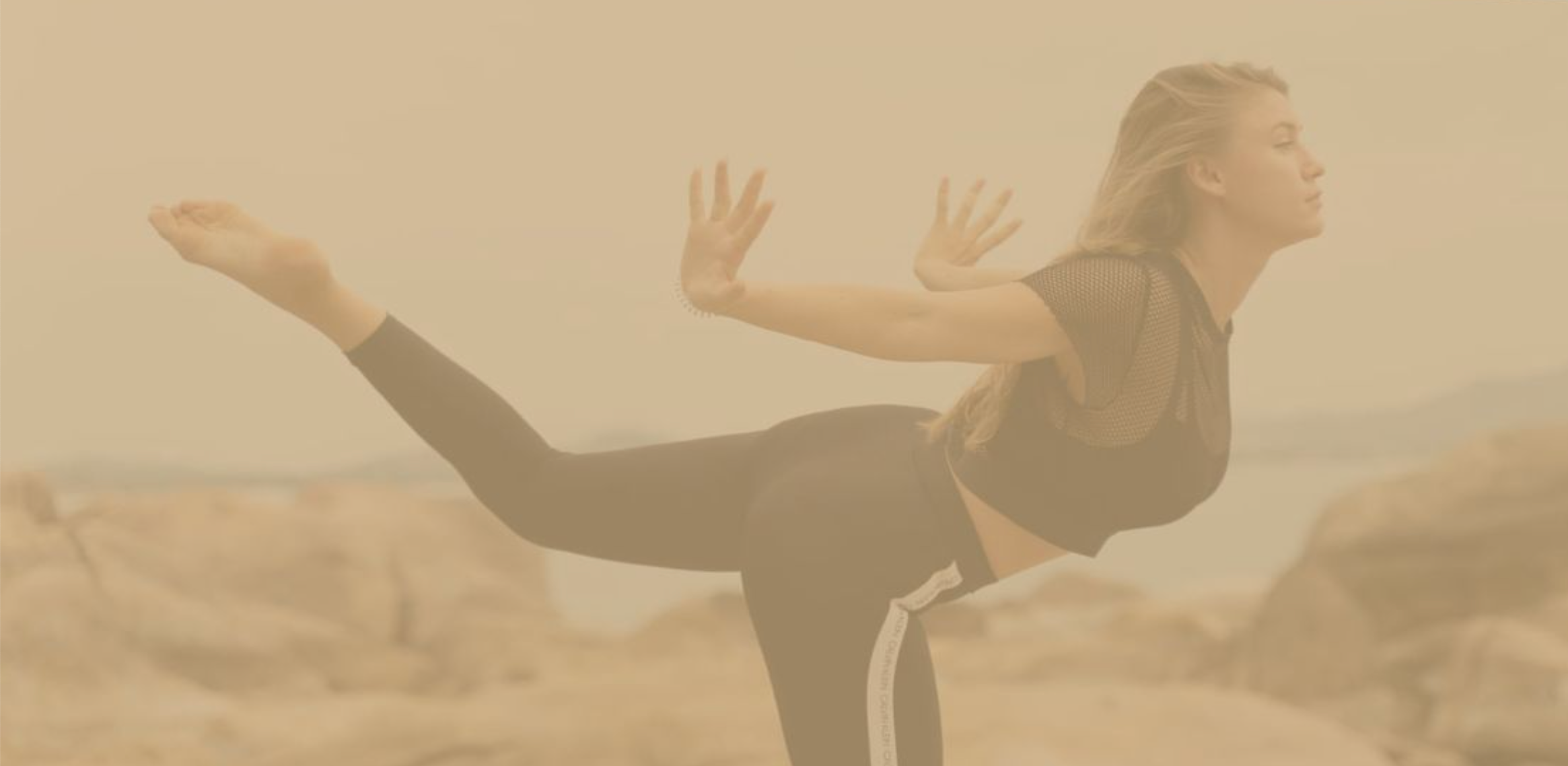 A valuable asset to any fitness regimen.