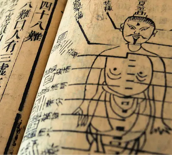 White Tiger Qigong Chinese Medicine