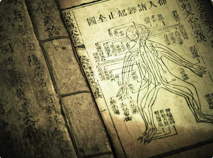 Essential Theory for Qigong Practitioners and Teachers - White Tiger Qigong