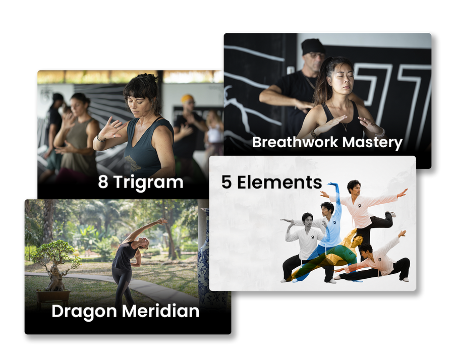 BONUS #6: All Four Teacher Training Systems Included from Day One (Professional Tier)