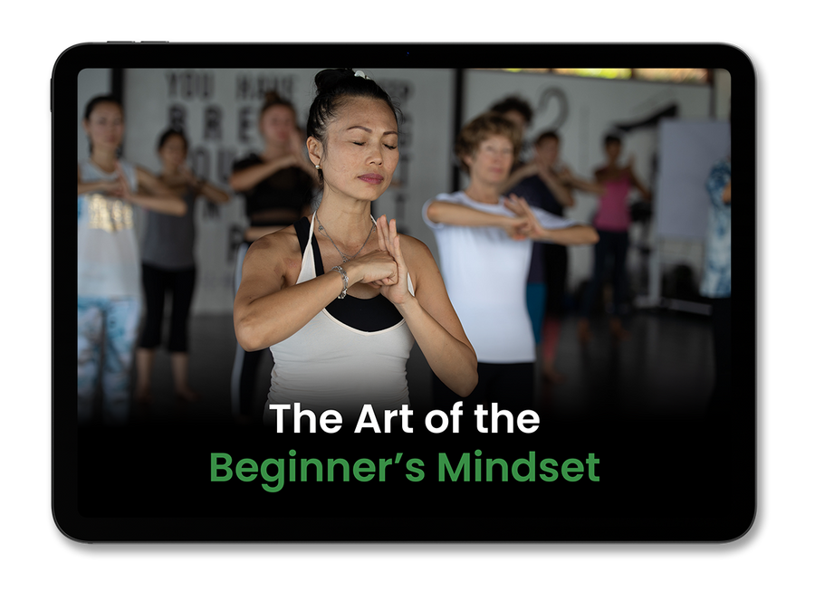 BONUS #3: The Art of the Beginner's Mindset (Value: $49)