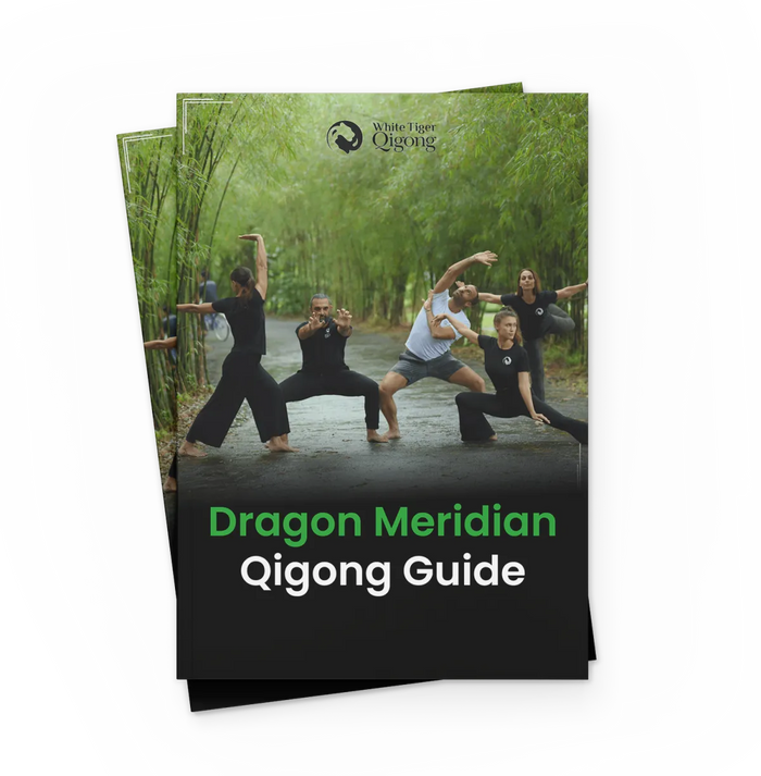 Detailed Downloadable Manuals