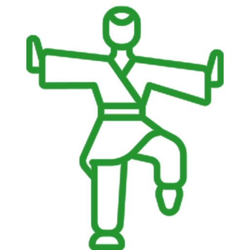 Master Qigong Instructor