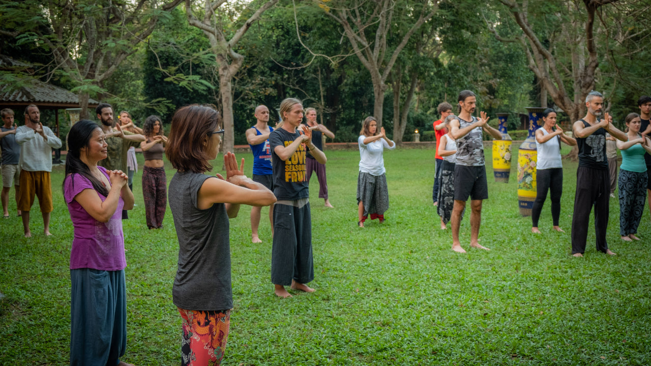 Five Qigong Forms Targeting Five Organs For A Healthy Mind, Body and Spirit