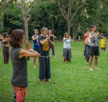 Five Qigong Forms Targeting Five Organs For A Healthy Mind, Body and Spirit