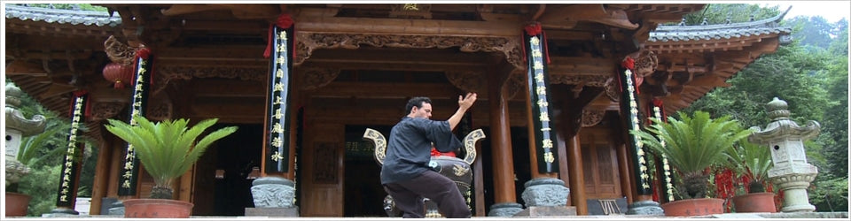 The 4 Paths of Taoist Qigong