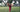 9-minute Qigong Mood Booster