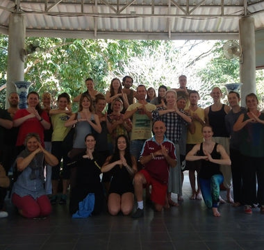 5 Animal Medical Qigong Teacher Training Review