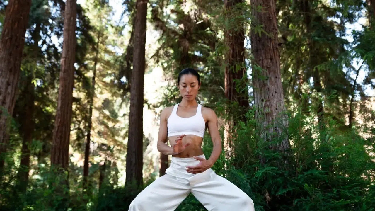 Introduction to Qigong