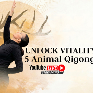 Unlock Your Vitality: A Free 5-Animal Qigong Masterclass (Deer Form Deep Dive)