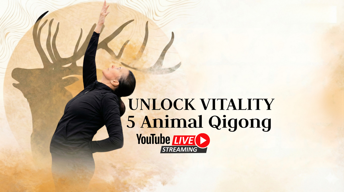 Unlock Your Vitality: A Free 5-Animal Qigong Masterclass (Deer Form Deep Dive)