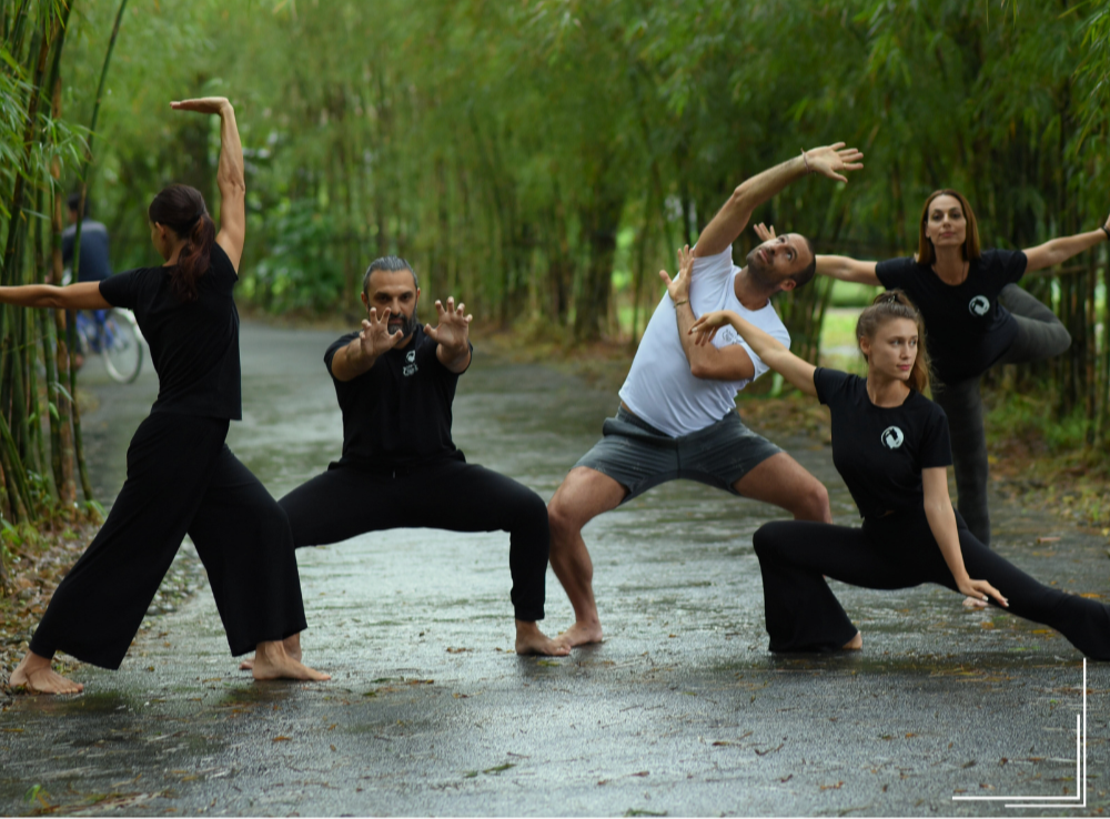 Discover the Five-Element Qigong Course