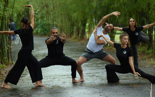 Master the Five Elements: Qigong for Strength, Flow, and Inner Harmony
