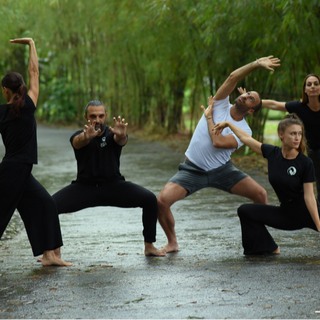 Discover the Five-Element Qigong Course