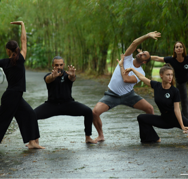 Master the Five Elements: Qigong for Strength, Flow, and Inner Harmony