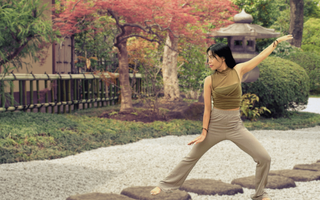 Qigong Grounding and Healing