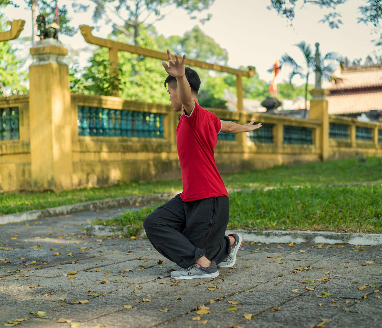 Qigong Fascia Stretching