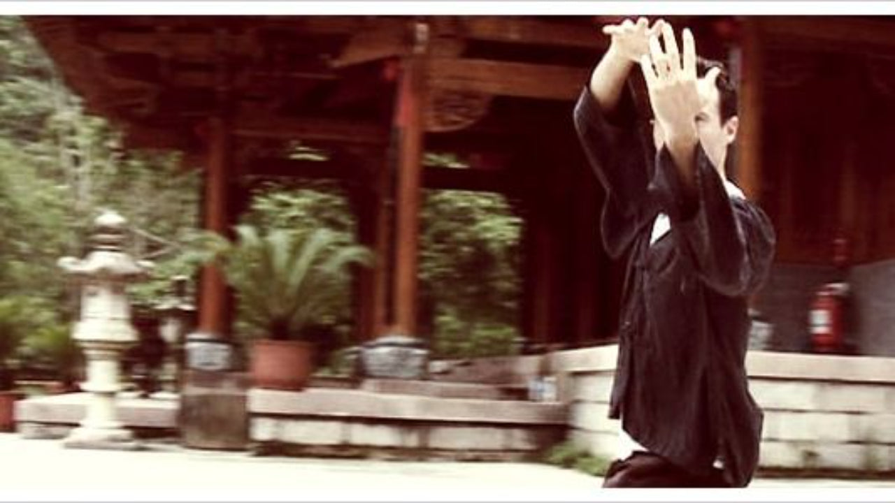 What Makes a Martial Arts or Qigong Master?