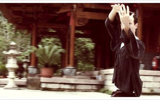 What Makes a Martial Arts or Qigong Master?