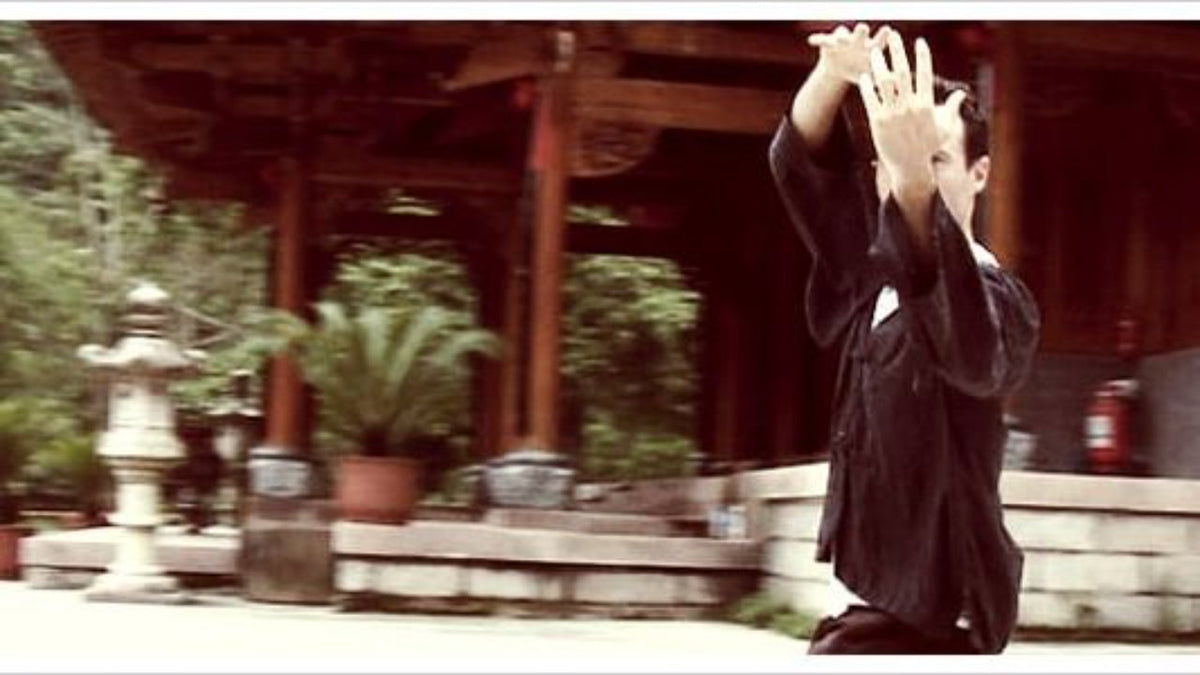 What Makes a Martial Arts or Qigong Master?