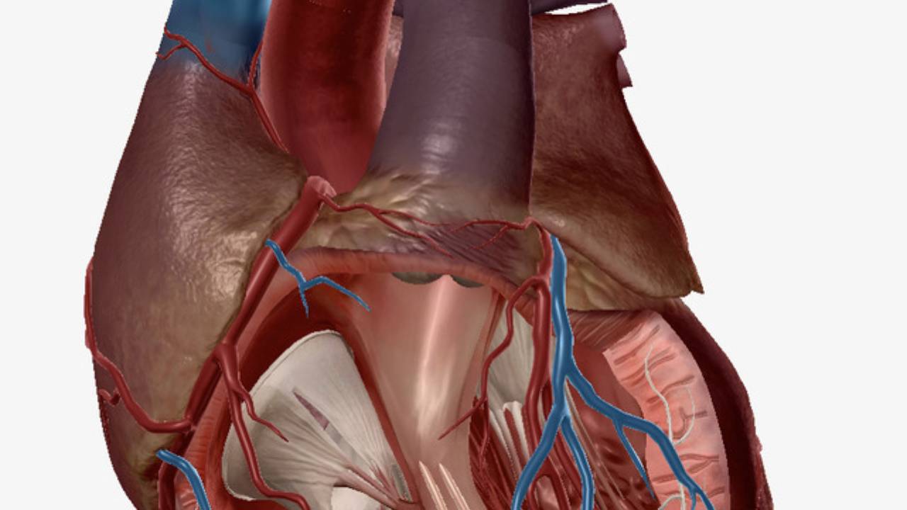 Qigong for Healthy Heart