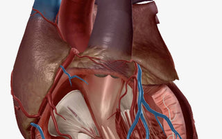 Qigong for Healthy Heart
