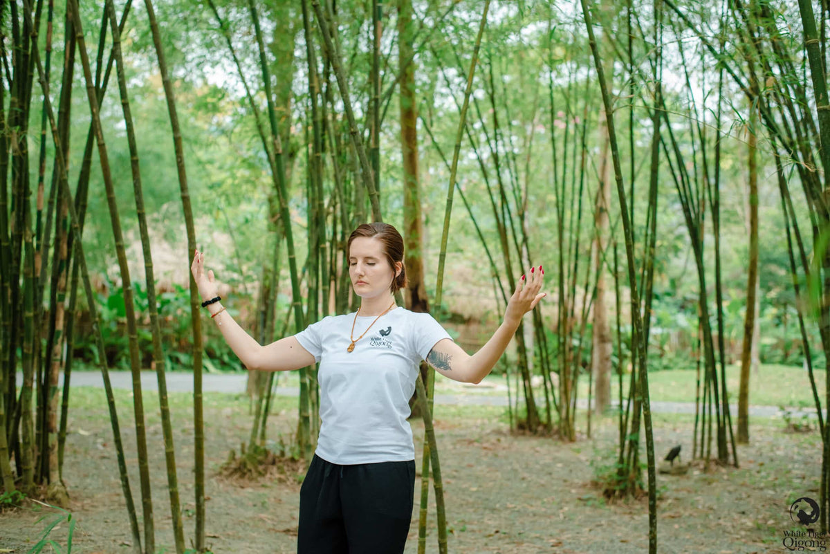 Ways to Improve Sleep Through Qigong and Other Techniques