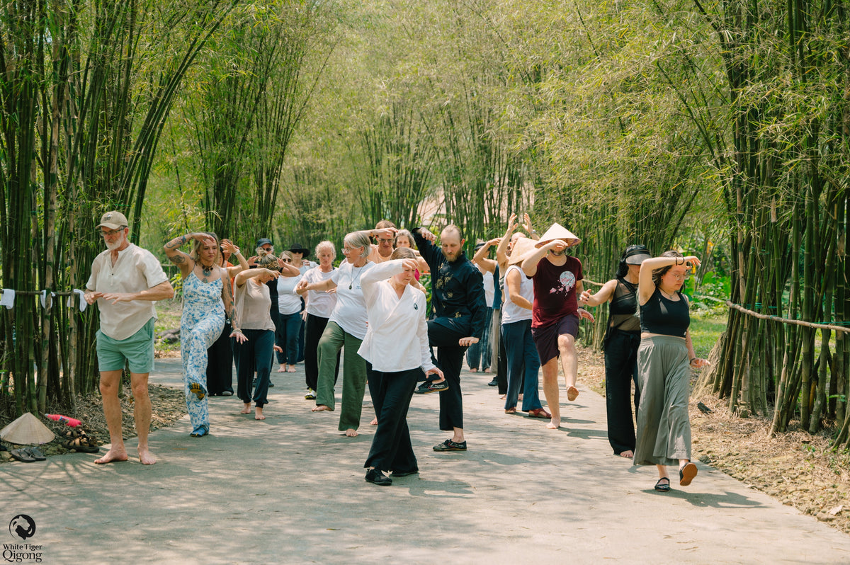 The Right Way to Move Through the Master Courses & Teacher Trainings (Most Students Get This Wrong)