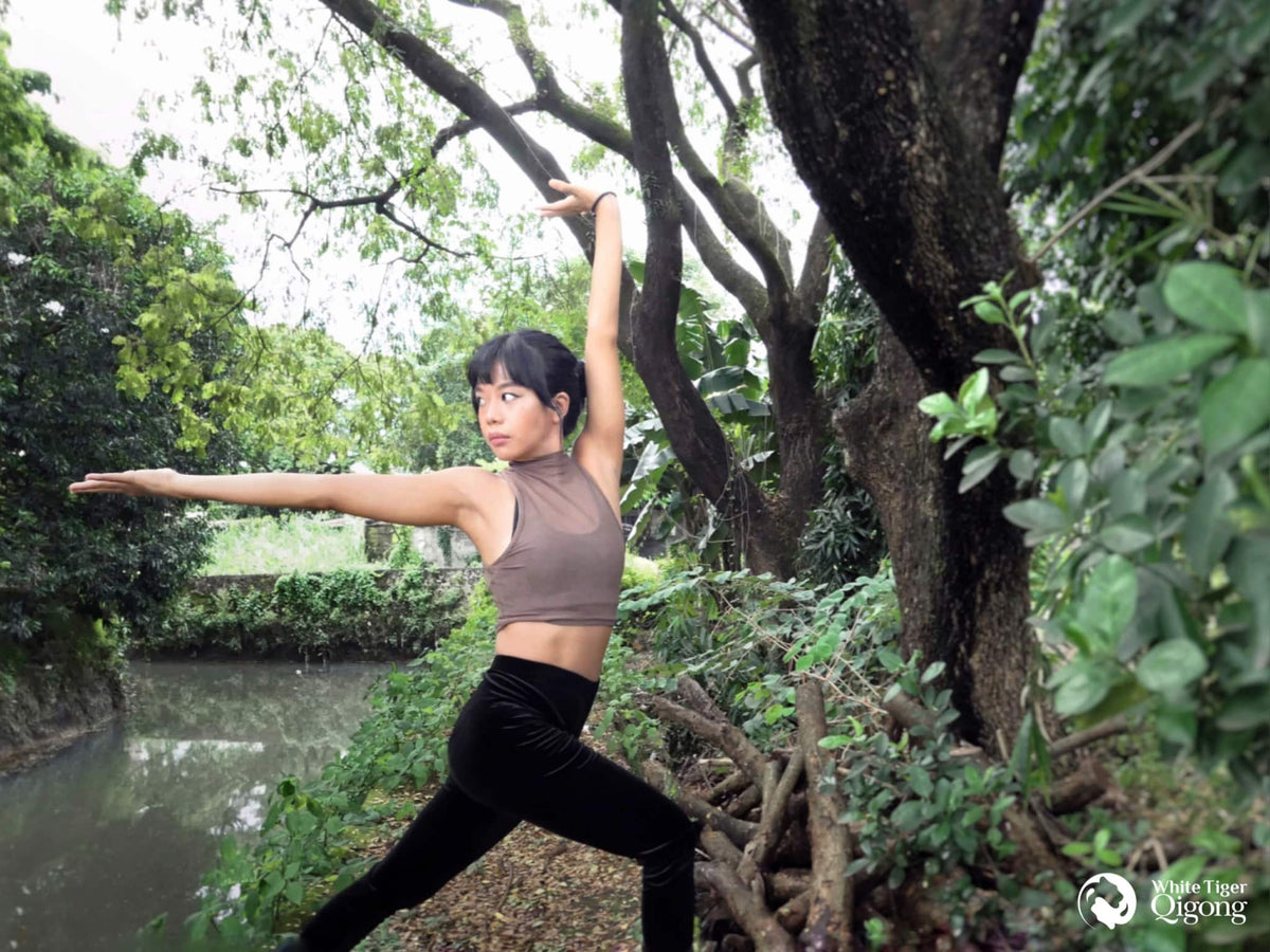 Dragon Qigong for Courage