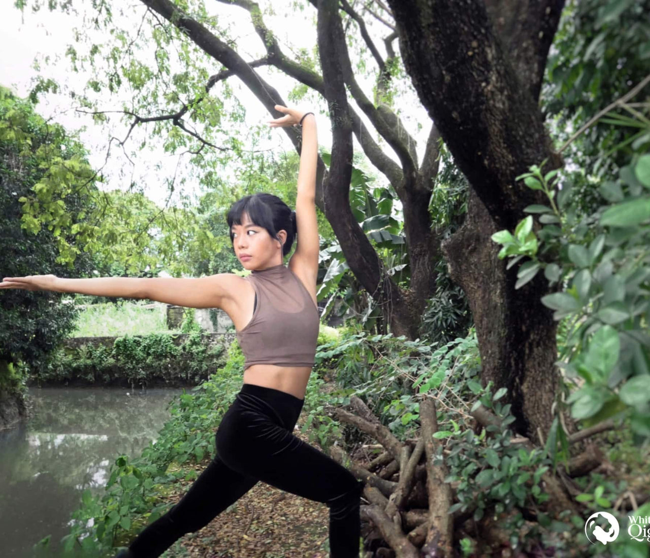 Dragon Qigong for Courage
