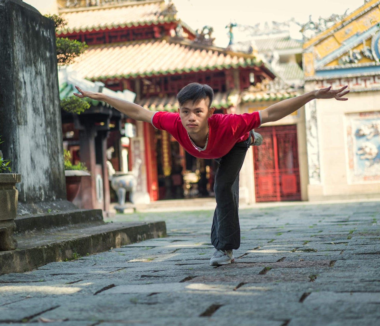 Crane Qigong for Fire-Heart and Joy