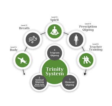 QIGONG MASTERY TRAINING PROGRAM
