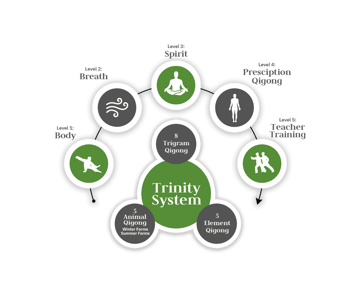 QIGONG MASTERY TRAINING PROGRAM