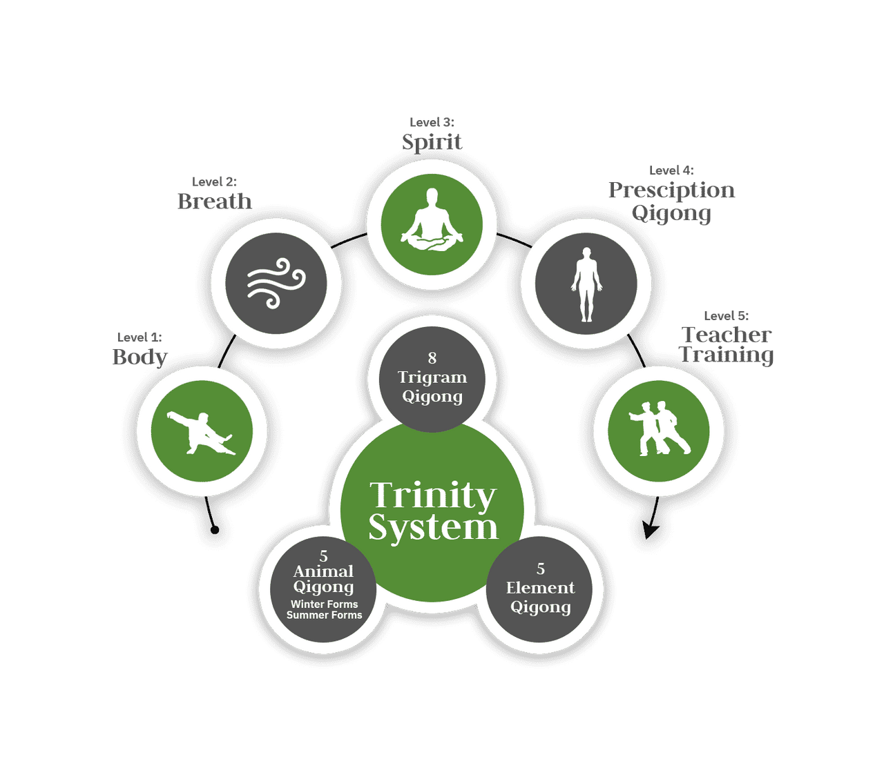 QIGONG MASTERY TRAINING PROGRAM