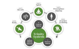 QIGONG MASTERY TRAINING PROGRAM