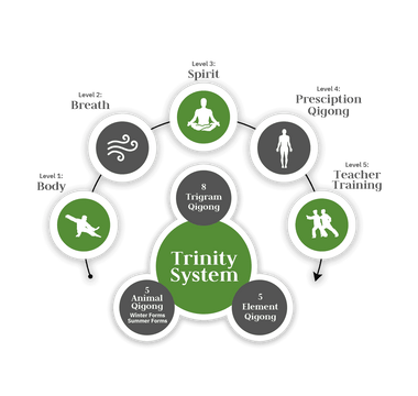 QIGONG MASTERY TRAINING PROGRAM