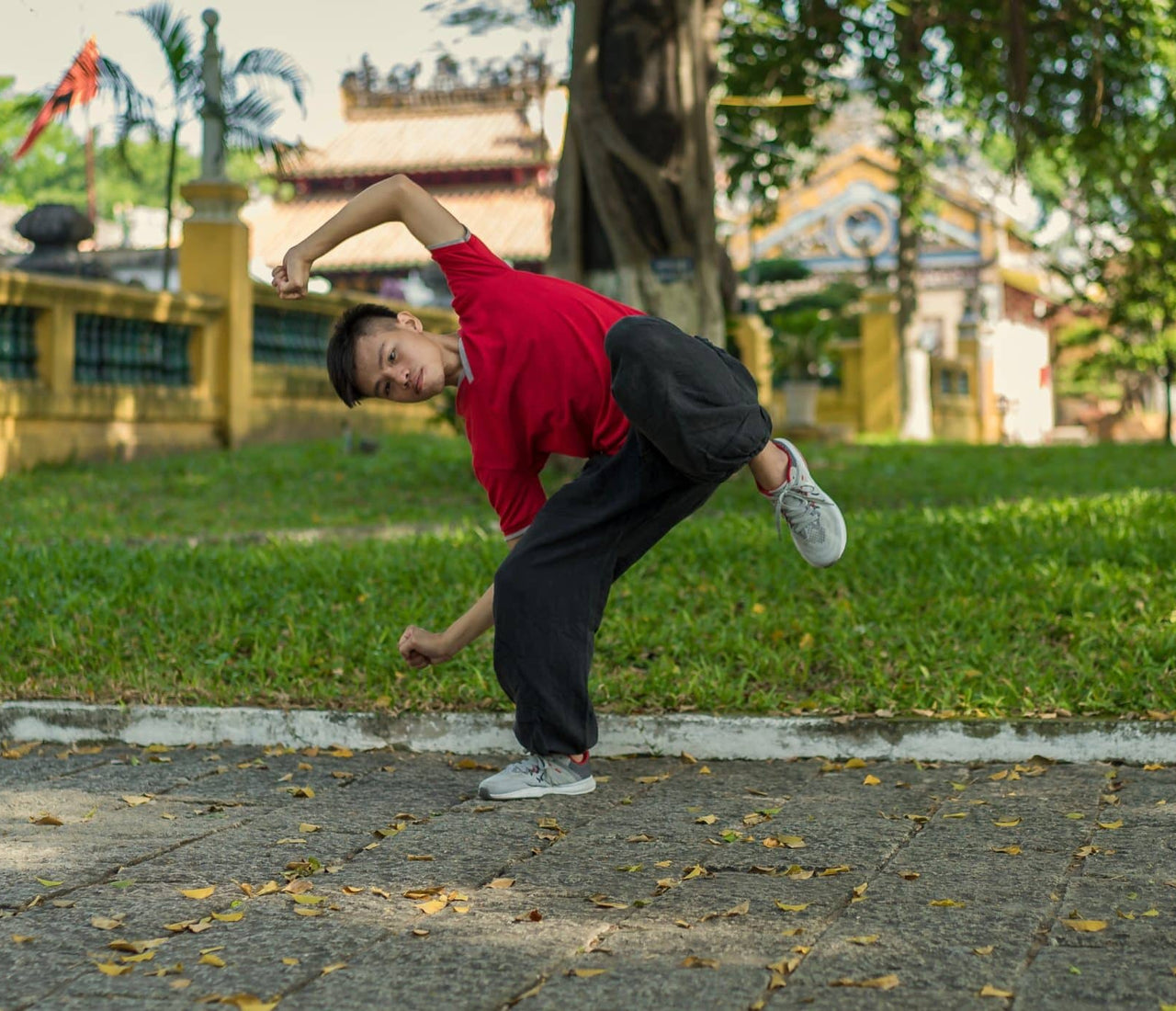 Bear Qigong to Release Worry and Anxiety from the Spleen