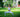 Qigong for Coronavirus (COVID-19)