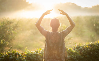 Qigong for Acupuncturists