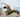 Qigong Rejuvenating Flow