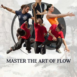 5 Animal Qigong: Ancient Movements for Modern Wellness