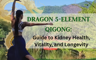 Dragon Five-Element Qigong: A Step-by-Step Guide to Kidney Health, Vitality, and Longevity