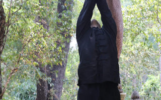 The journey to learning different Qigong