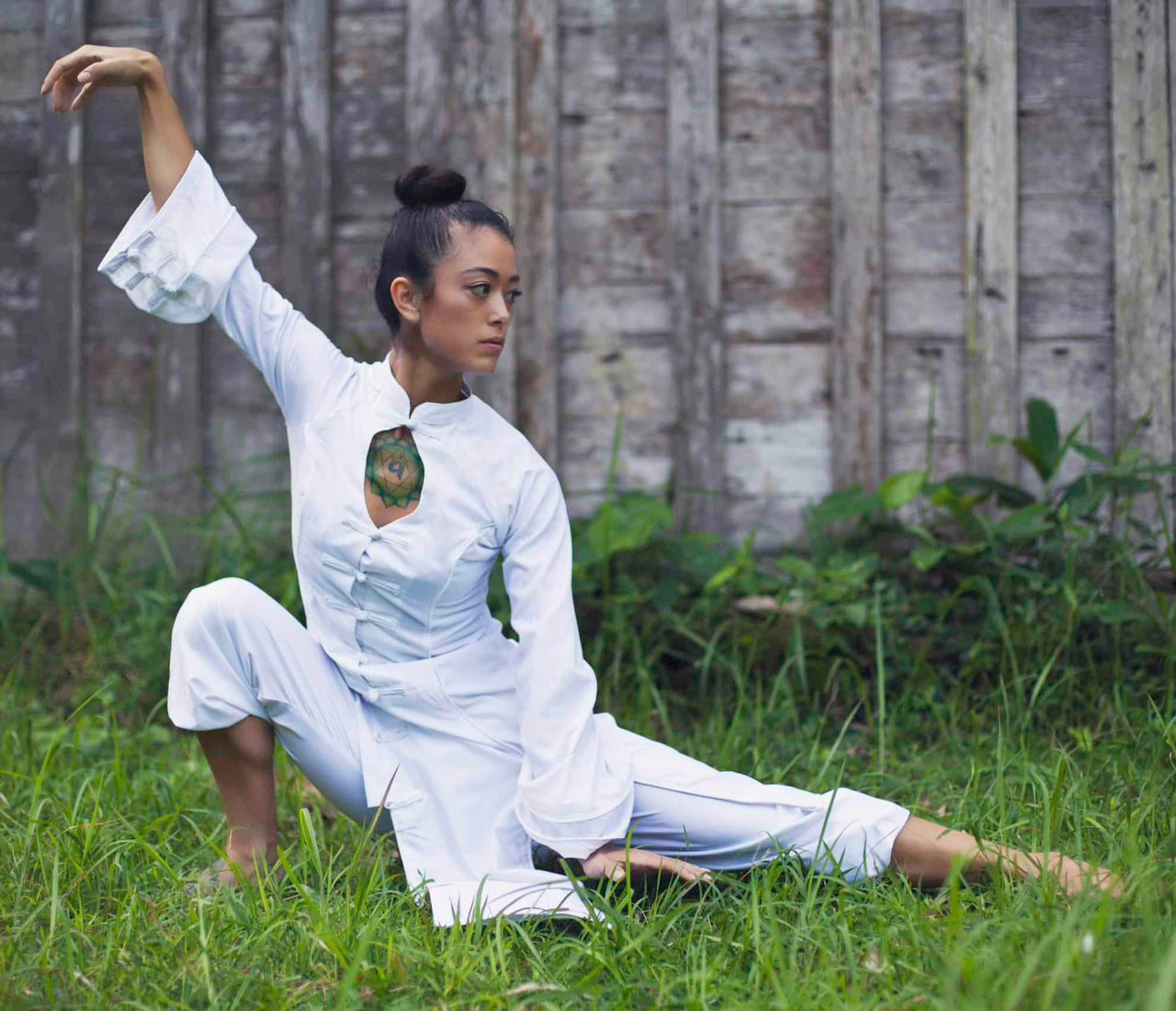 Qi Gong and Substance Addiction