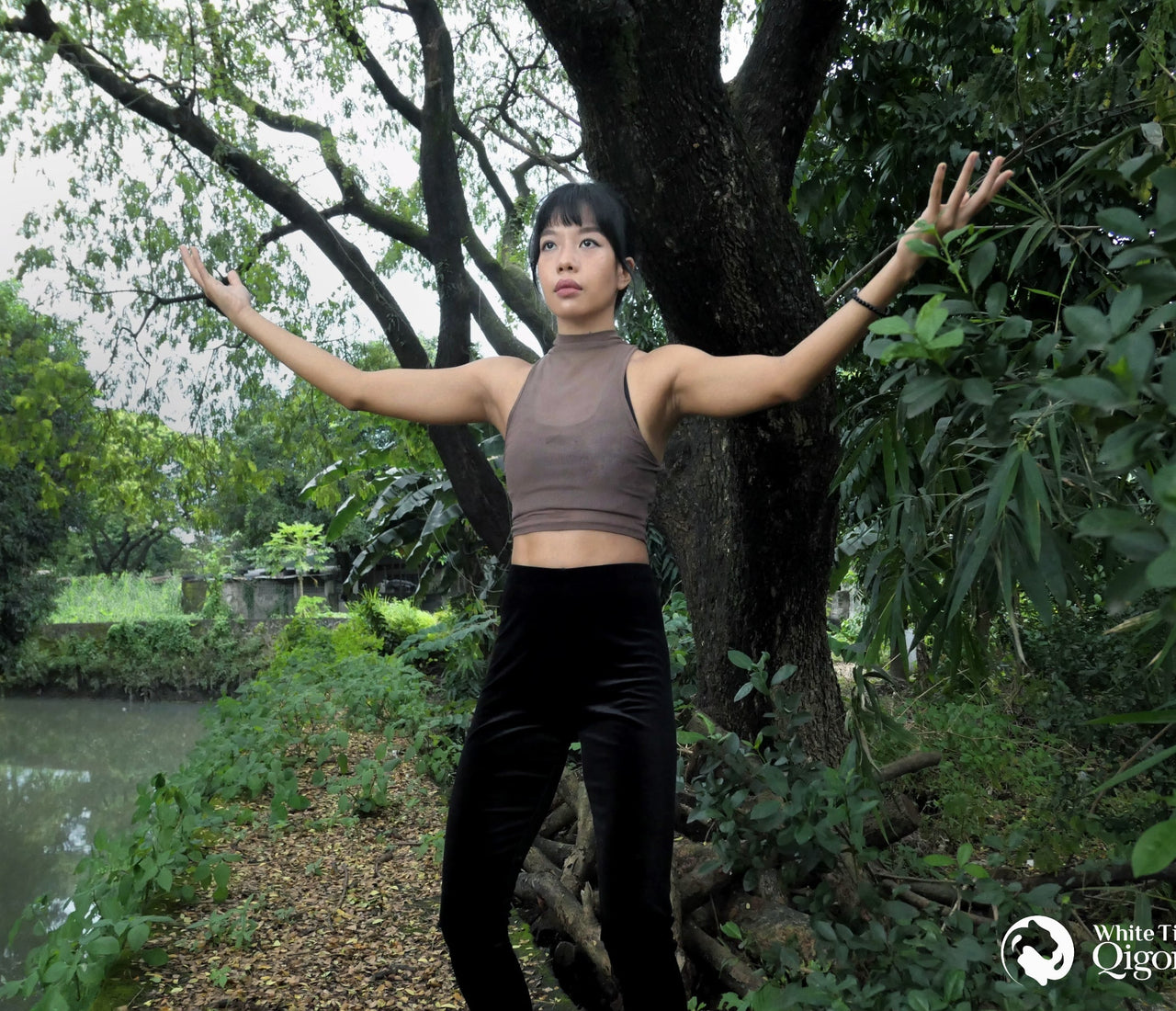 Qigong Poses